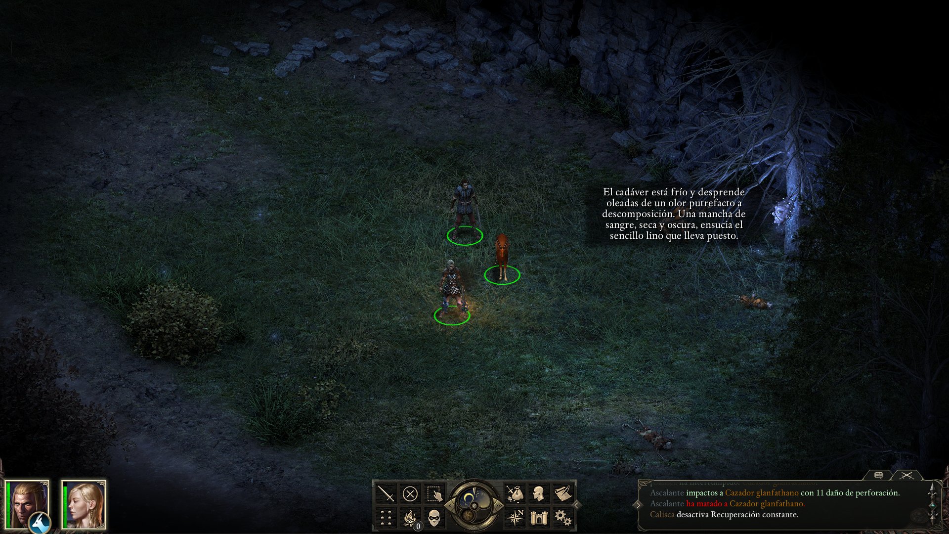 Pillars of Eternity: Complete Edition - Imagen 5